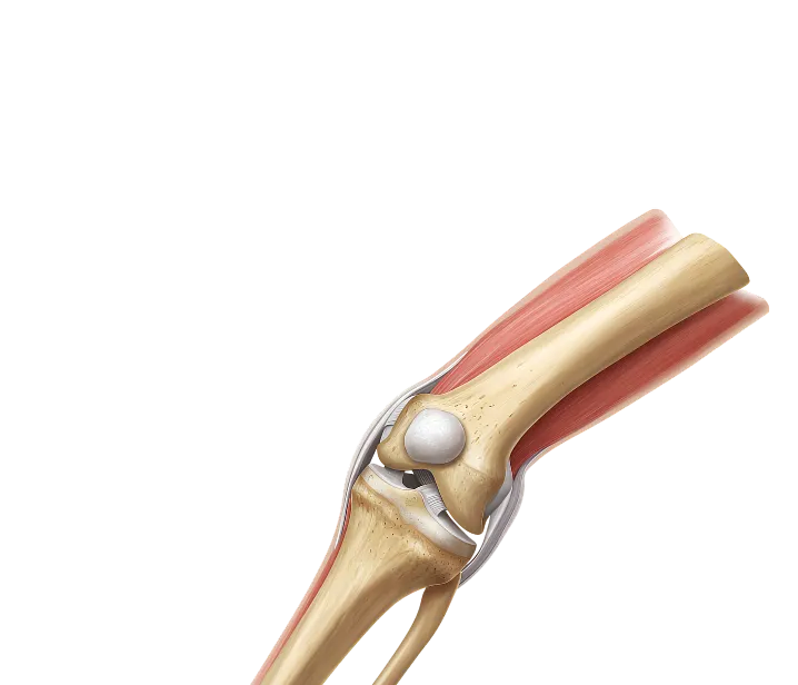 Arthritis Specialist Jaipur