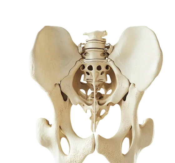Best Bone Doctor Jaipur